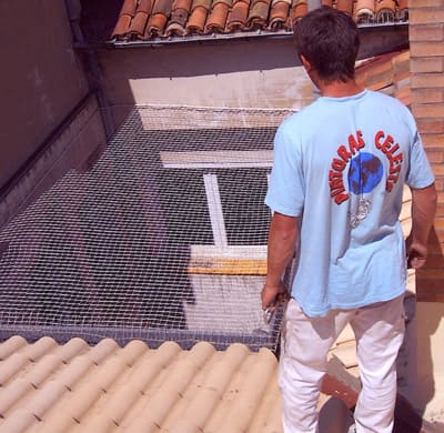 Instalación de sistemas antipalomas